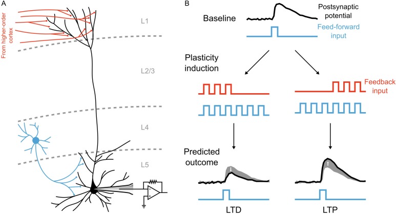 Figure 10.