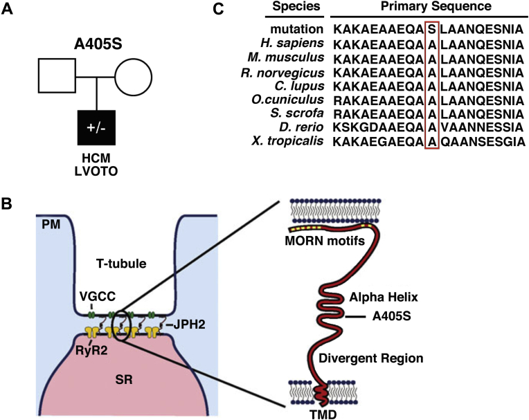 Figure 1