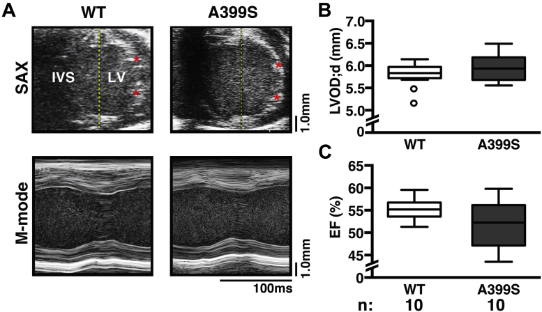 Figure 3