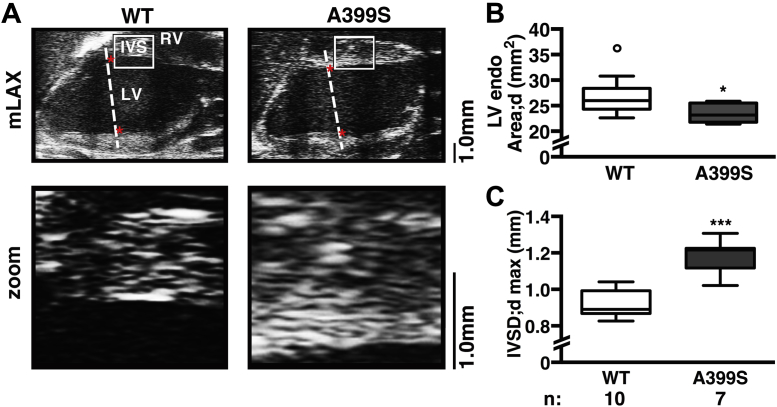 Figure 4