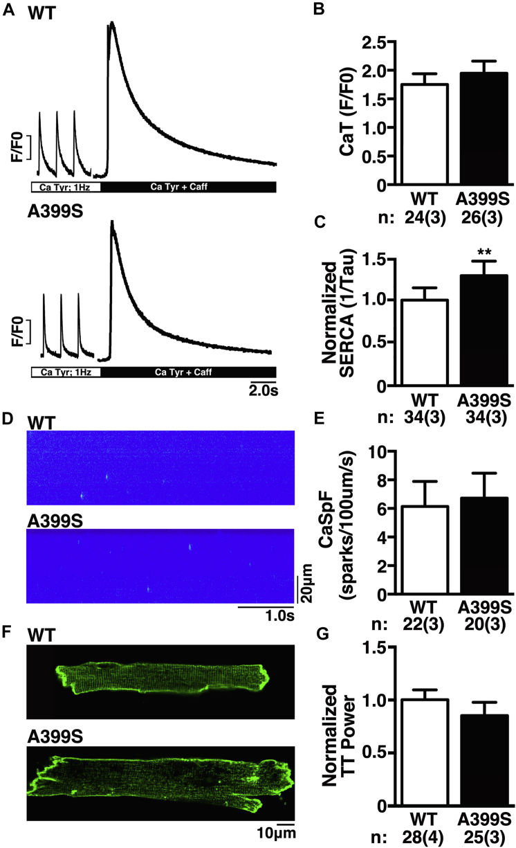 Figure 7