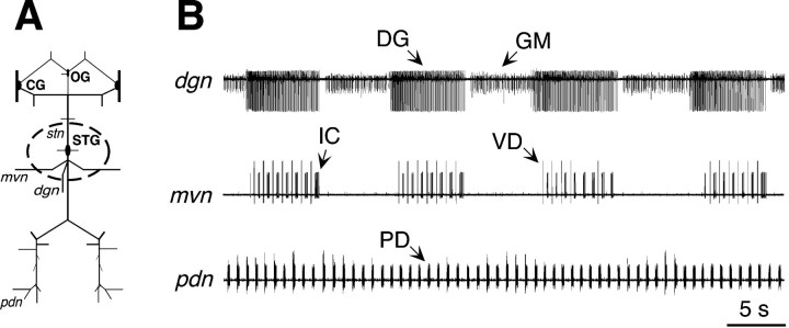 Fig. 6.