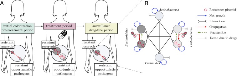 Fig. 1.