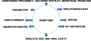 Flowchart 2