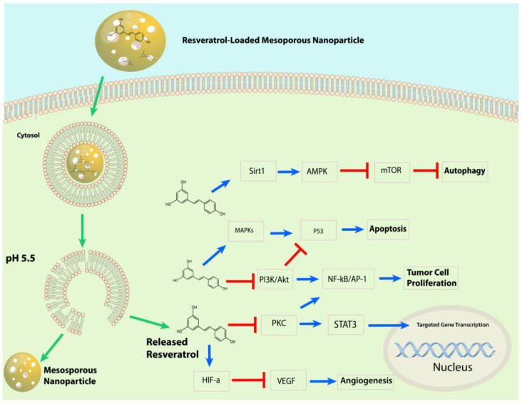 Figure 20