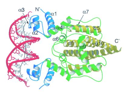 FIG. 8.