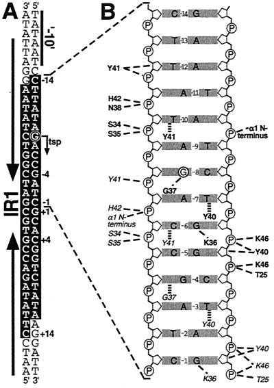 FIG. 12.