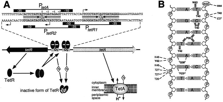 FIG. 7.