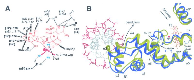 FIG. 9.