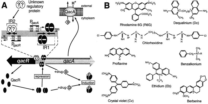 FIG. 10.