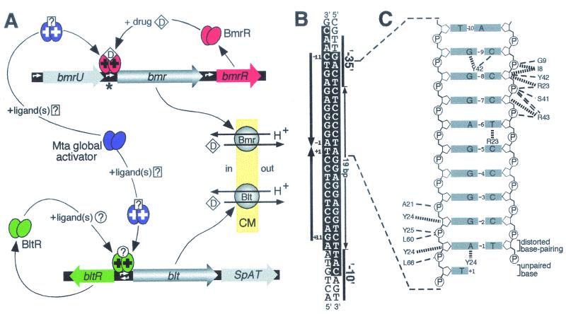 FIG. 4.