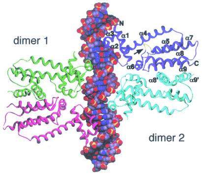 FIG. 11.