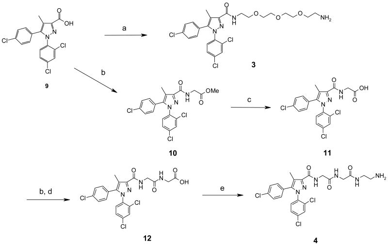 Scheme 1