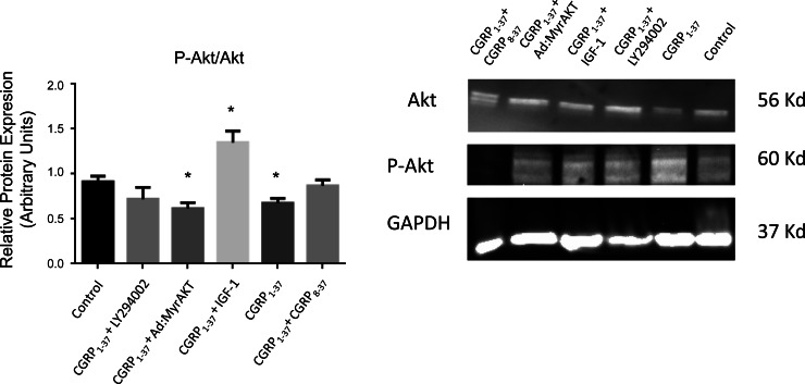 Fig. 12.