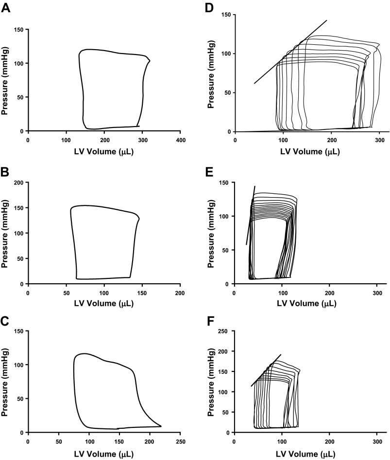 Fig. 10.