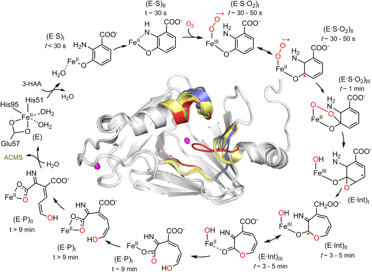 Fig. 6.