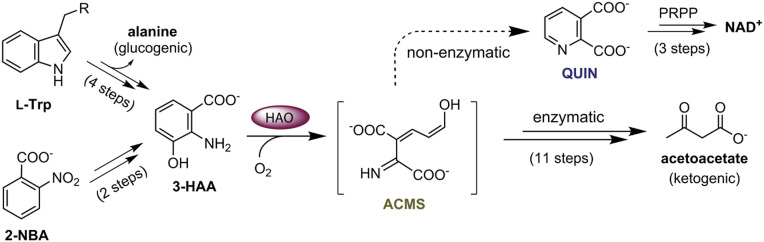 Scheme 1.