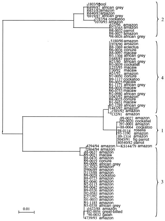 FIG. 3.