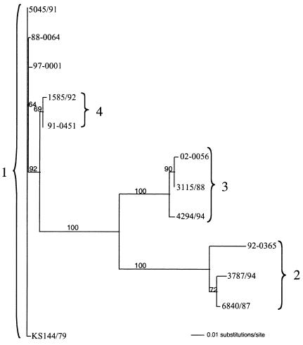 FIG. 1.