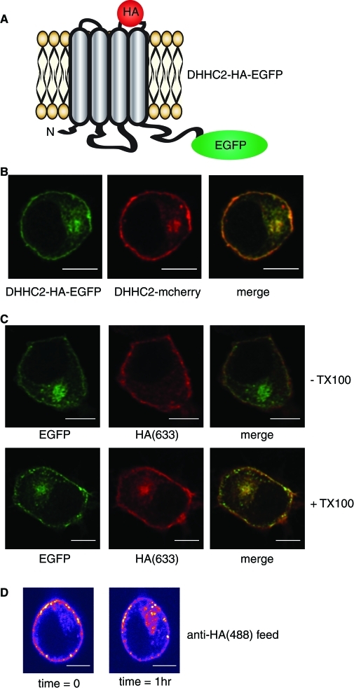 FIGURE 3: