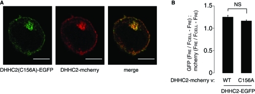 FIGURE 5: