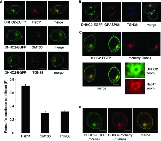 FIGURE 1: