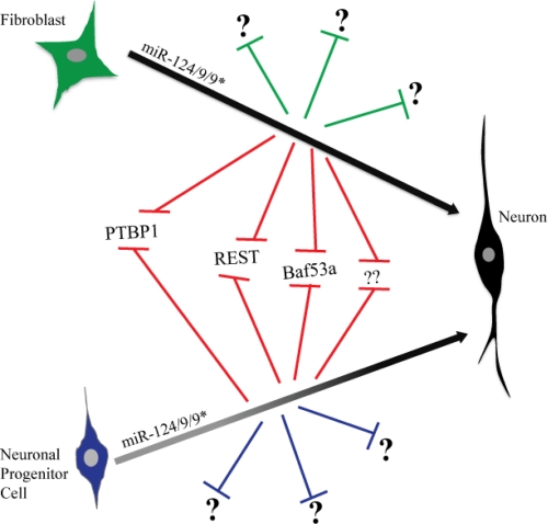 Figure 1: