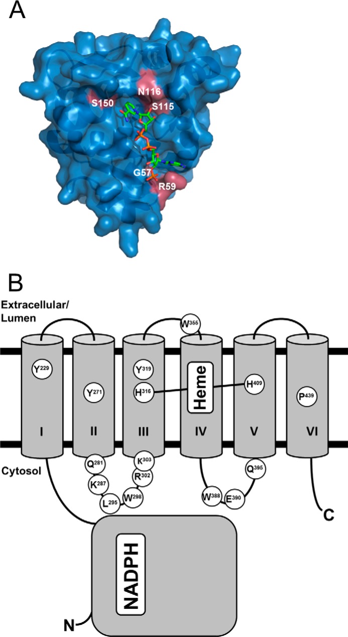 FIGURE 6.