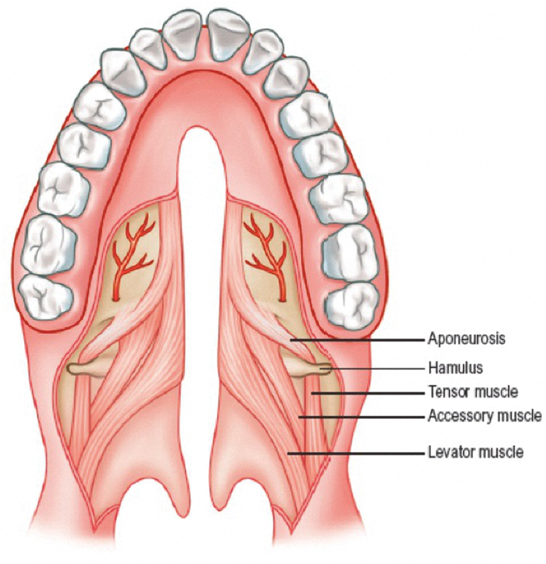 Fig. 2