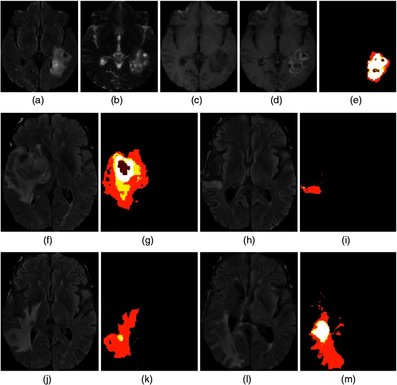 Fig. 7