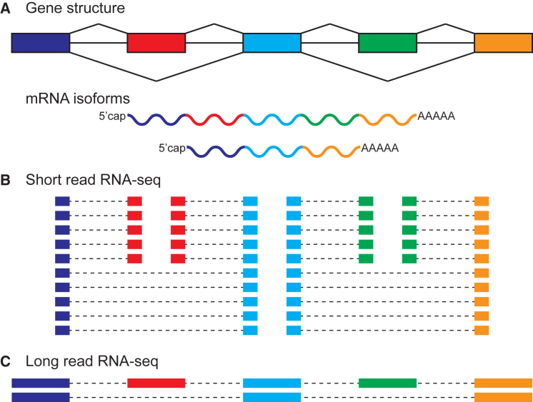 Figure 2