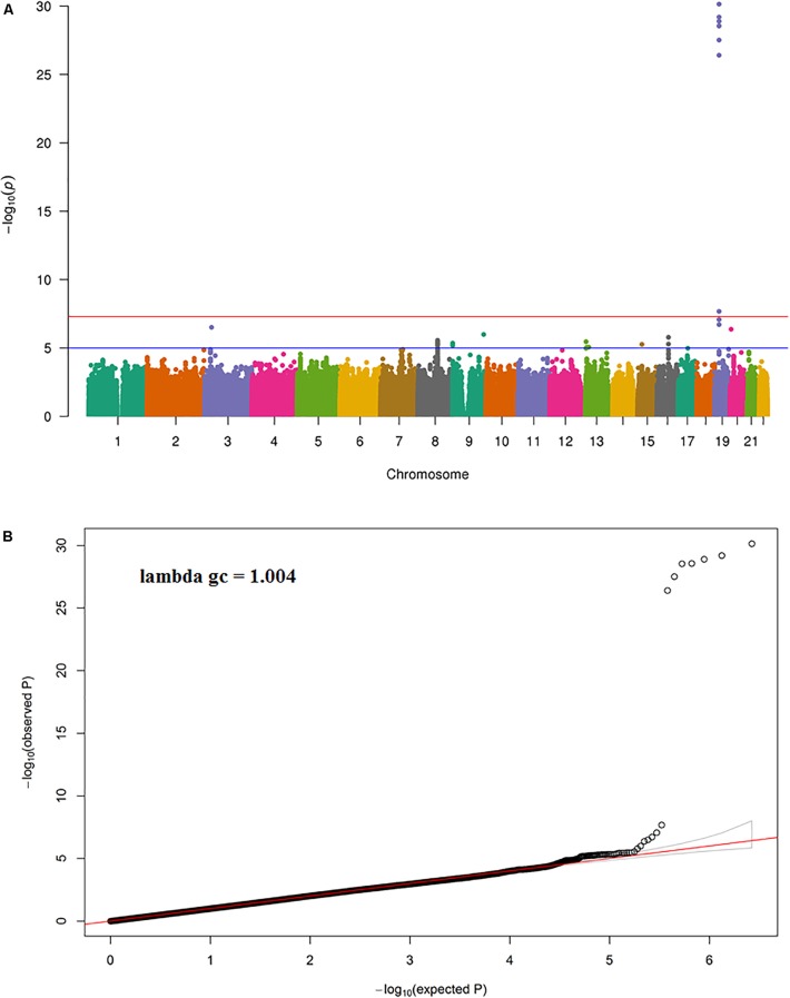 FIGURE 1