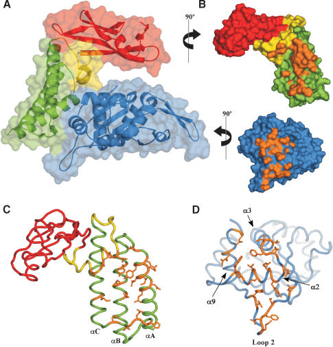 Figure 3.