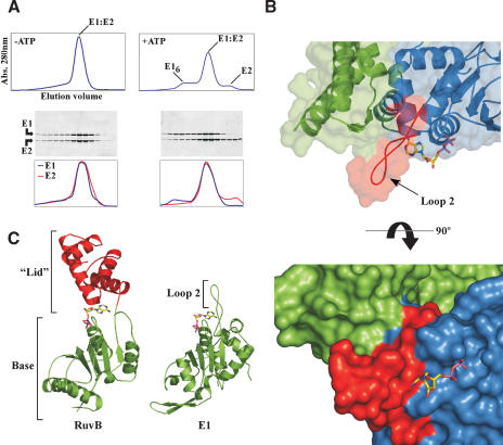 Figure 7.