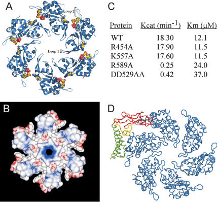 Figure 6.