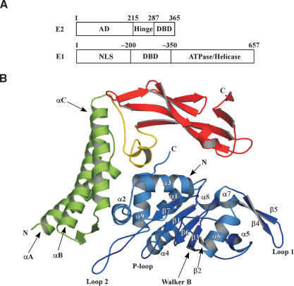 Figure 1.