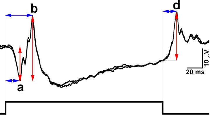 Fig. 1