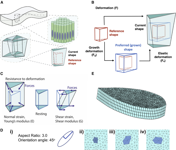 Figure 2