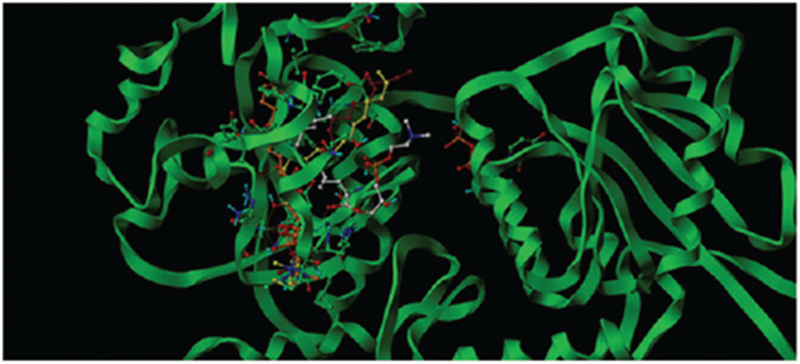 Figure 3.