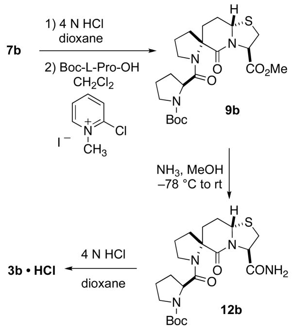 Scheme 3