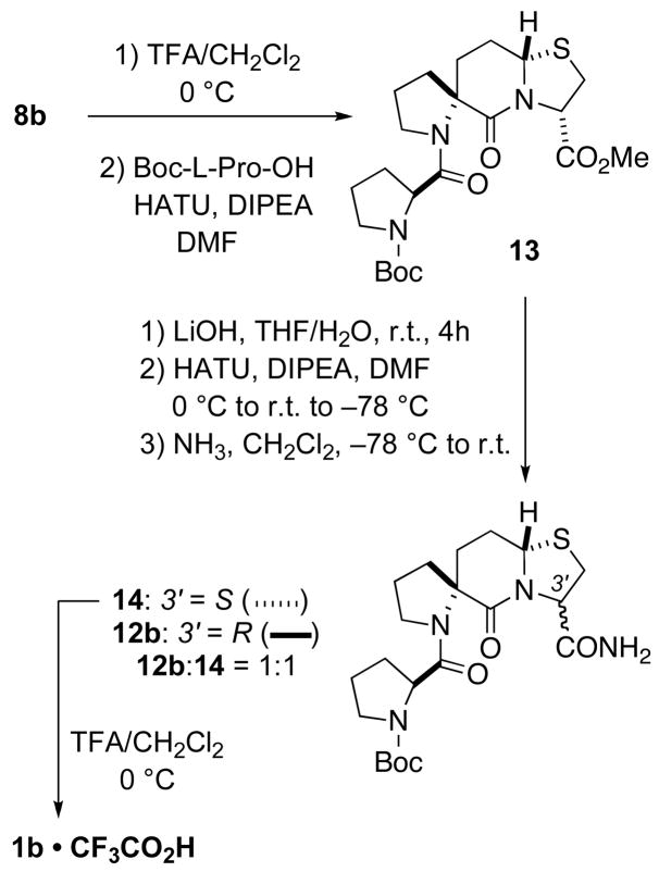 Scheme 4