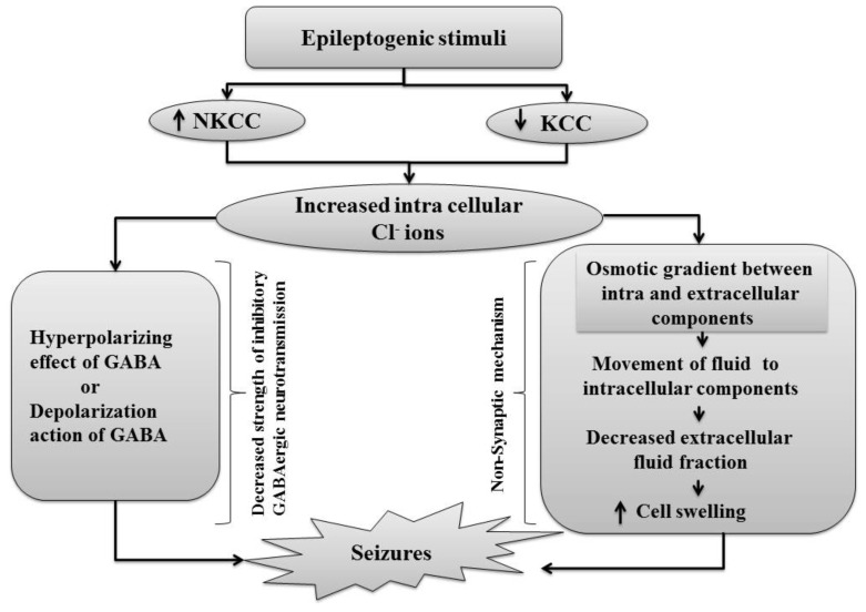 Fig. (5)