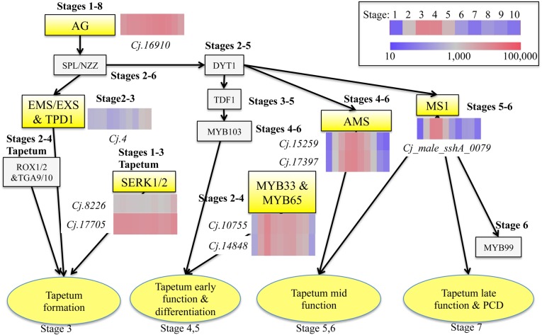 Figure 7.