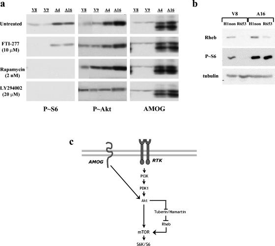 FIG. 6.