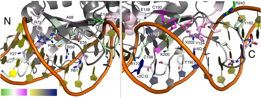 Fig. 7