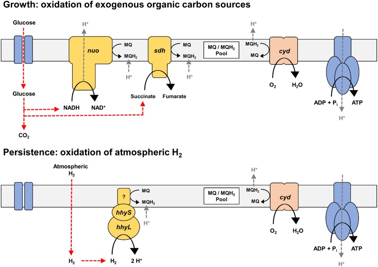 Fig. 5.