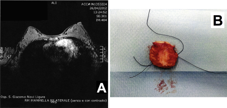 Fig. 6