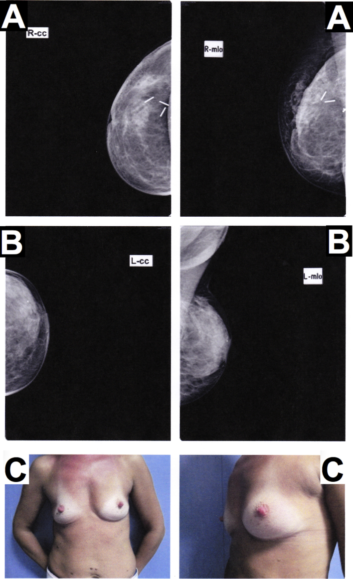 Fig. 8