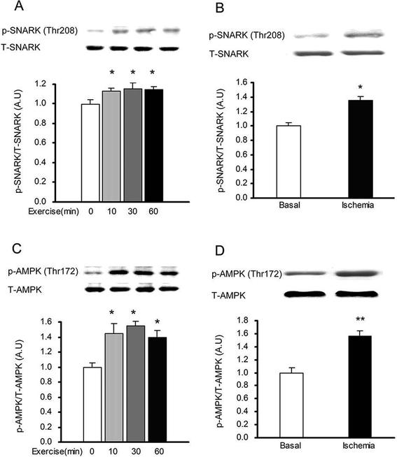 Fig.2.