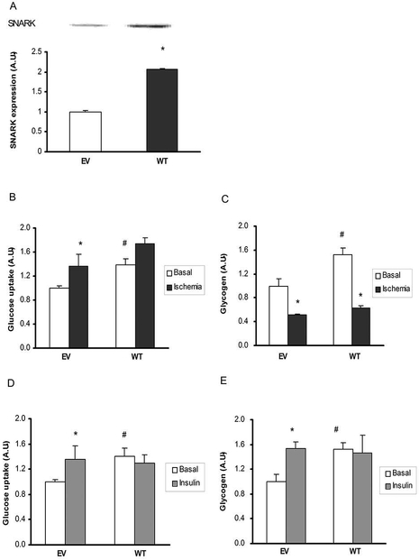 Fig.4.